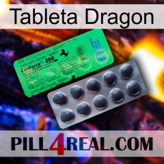 Dragon Tablet new04